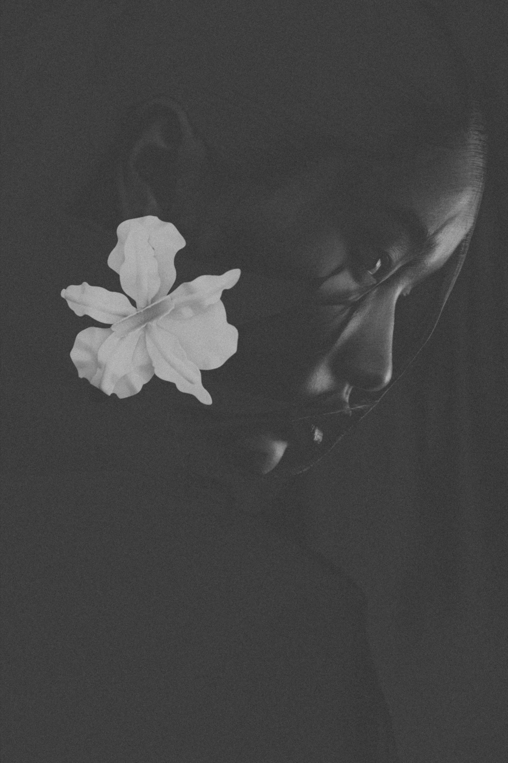 Nemesis — editorial photograph 5