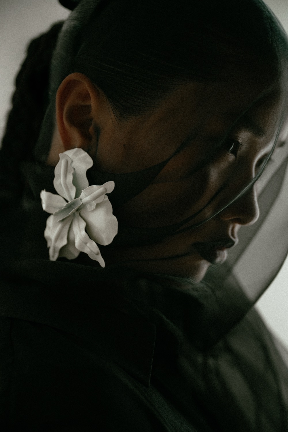 Nemesis — editorial photograph 7